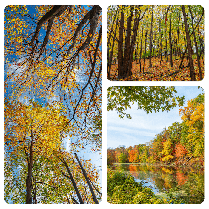 about-connecticut
